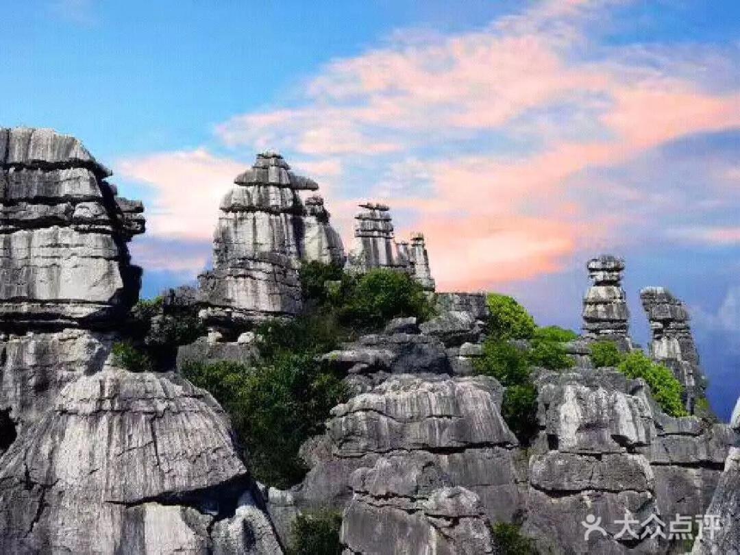 Shilin Stone Forest Mijia Guest House מראה חיצוני תמונה